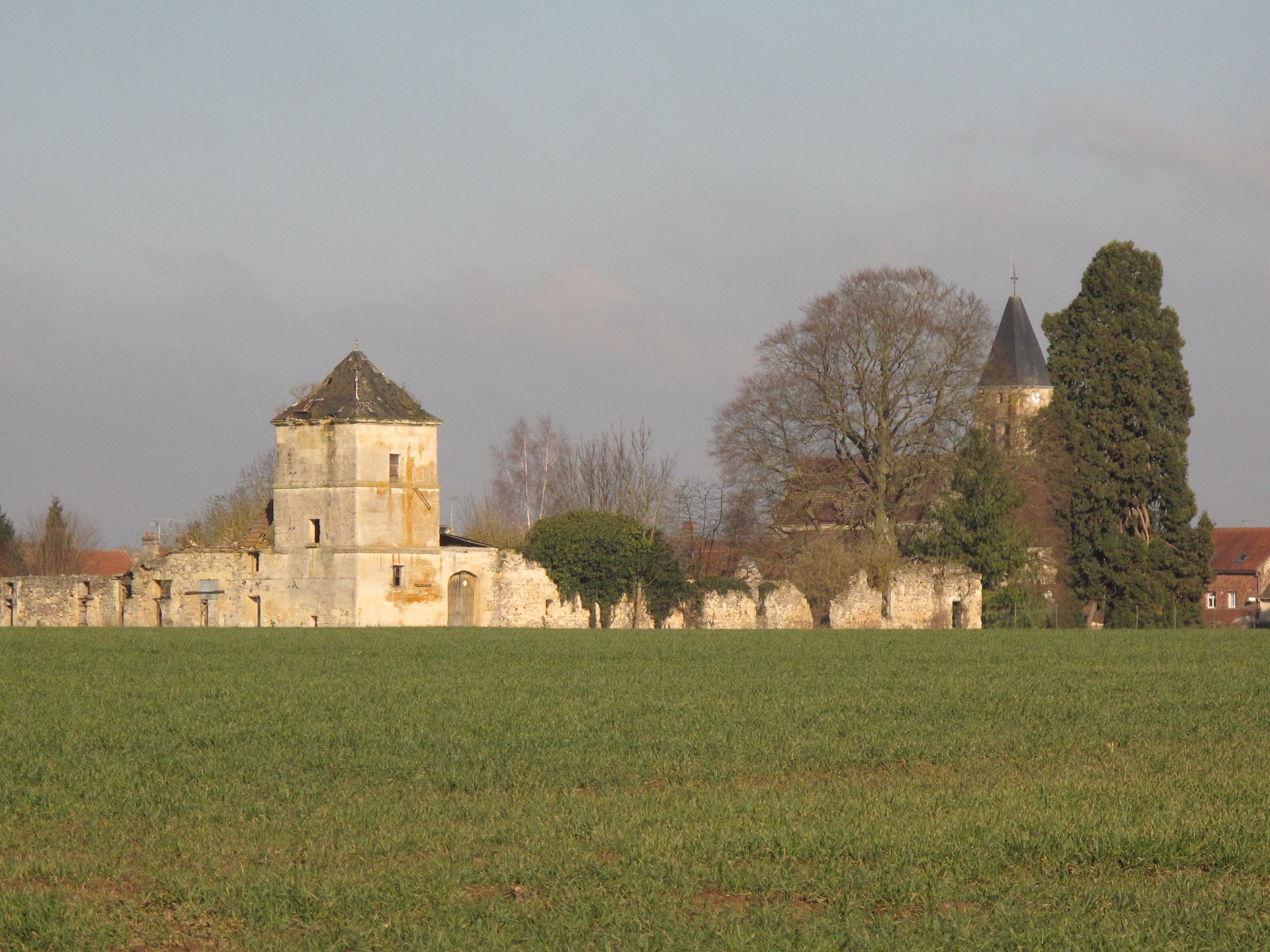 Les ruines du château de Thury. Façades sud et est...